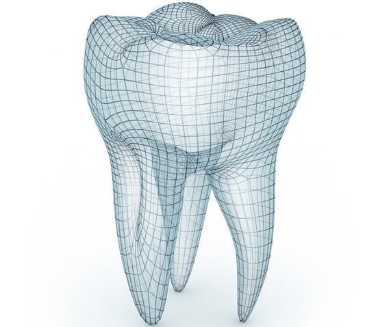 A graphic of a tooth