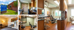The collage of our amazing office
